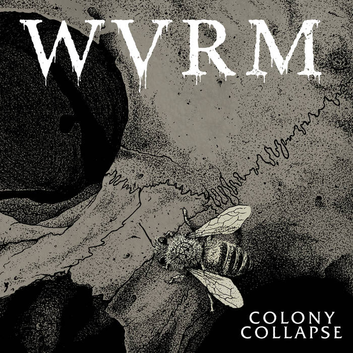 WVRM - Colony Collapse - Download (2020)